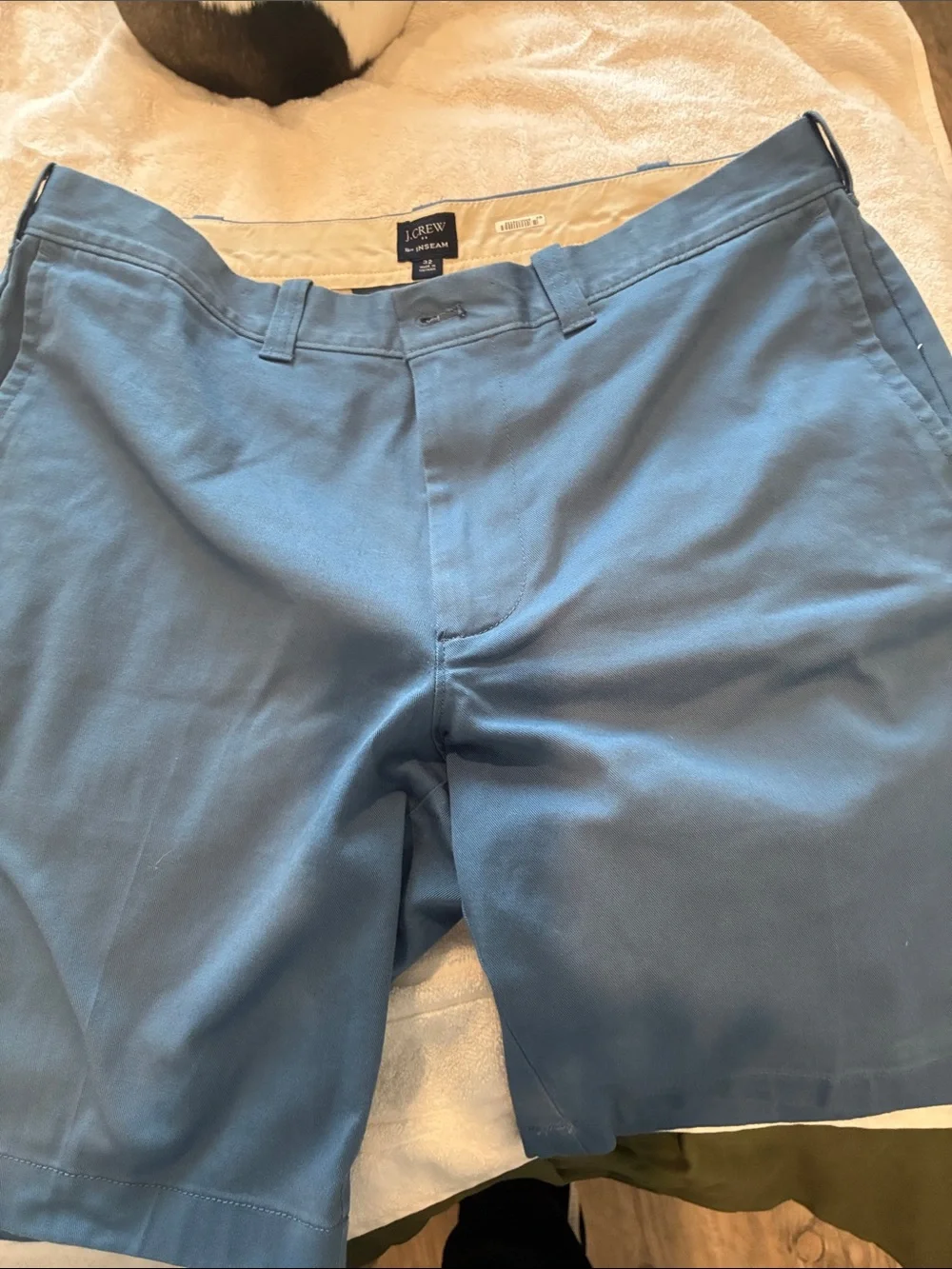 J. Crew Light Blue Flat Front Men’s Shorts